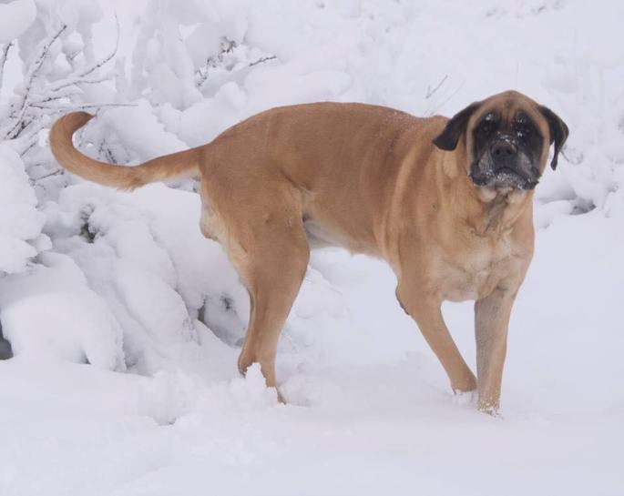 23379837_10215452581456213_6194699710512521021_n